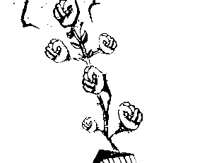 Buried Alive The Abu Ghraibs in Our Back Yard